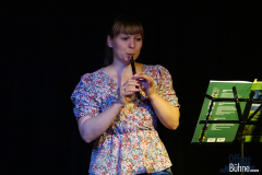 Einmal mit Tin Whistle